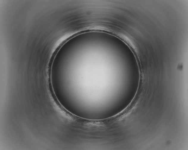 X0000091961133200709201338