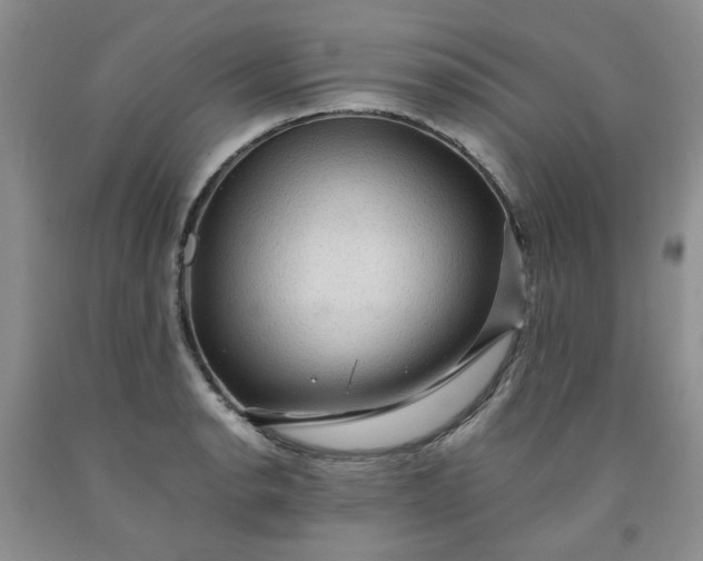 X0000091961134200709201338