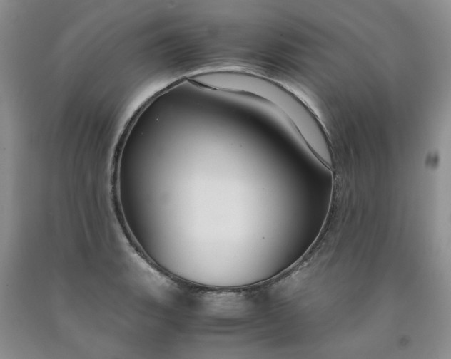 X0000091961135200709201338