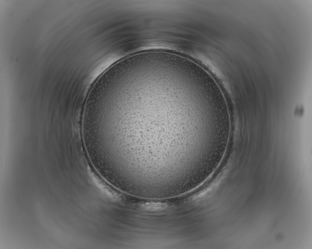 X0000091961137200709201338