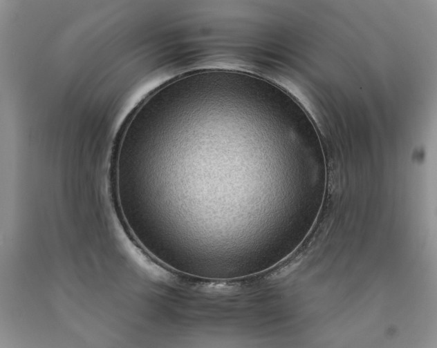 X0000091961139200709201338