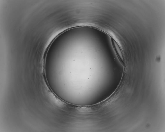 X0000091961140200709201338