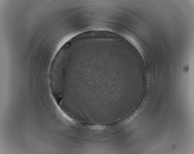 X0000091961141200709201338