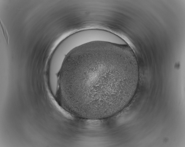 X0000091961142200709201338