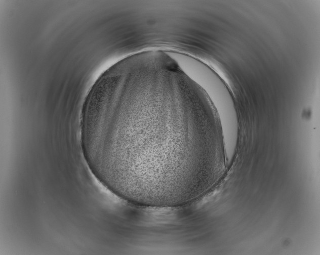 X0000091961143200709201338