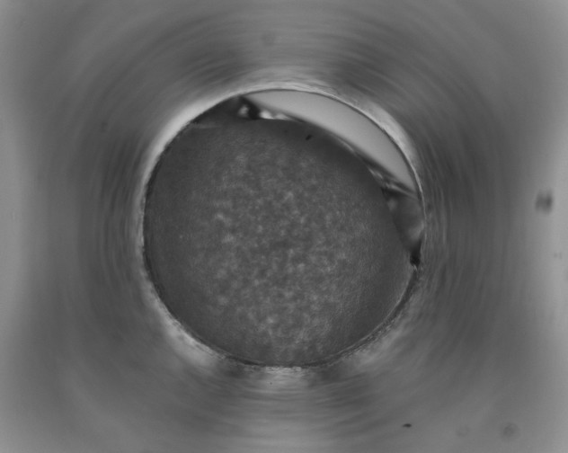 X0000091961144200709201338