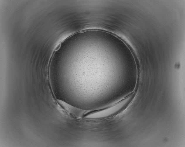 X0000091961145200709201338