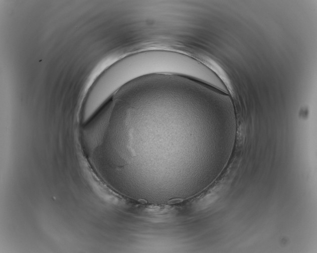 X0000091961146200709201338