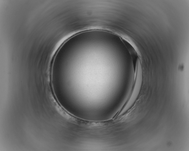 X0000091961148200709201338