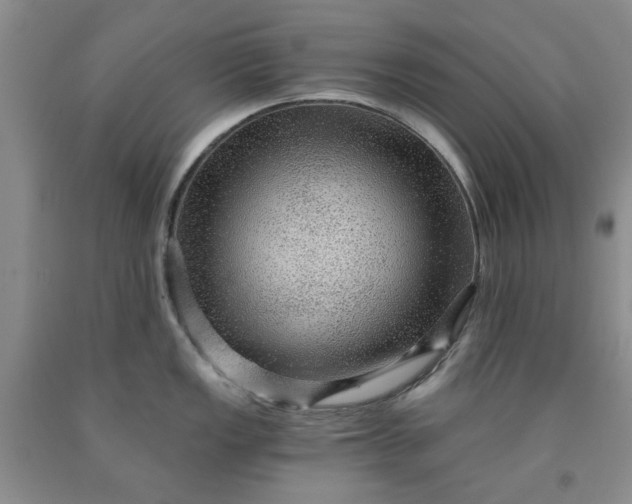 X0000091961149200709201338