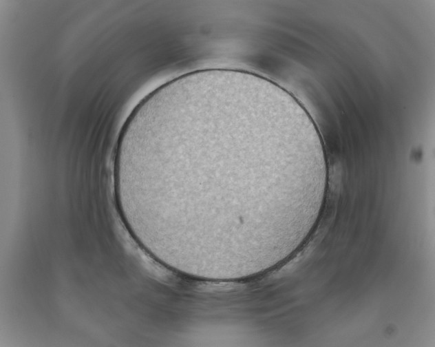 X0000091961150200709201338