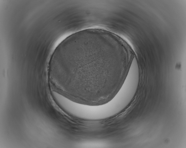 X0000091961151200709201338