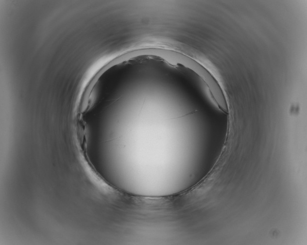 X0000091961152200709201338