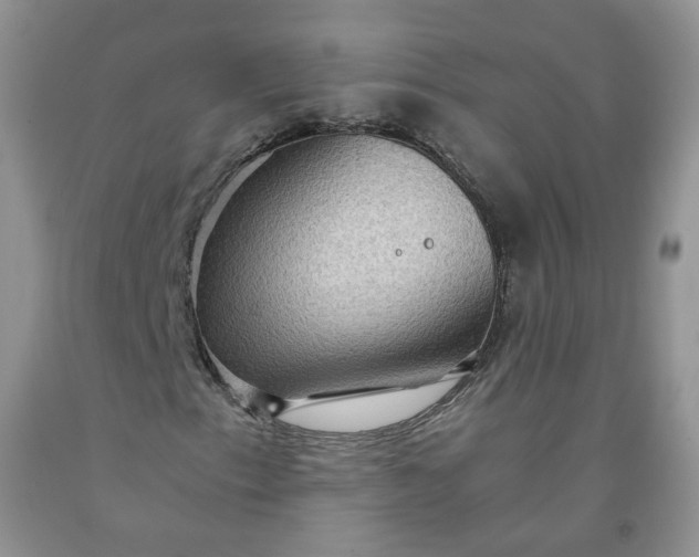 X0000091961153200709201338