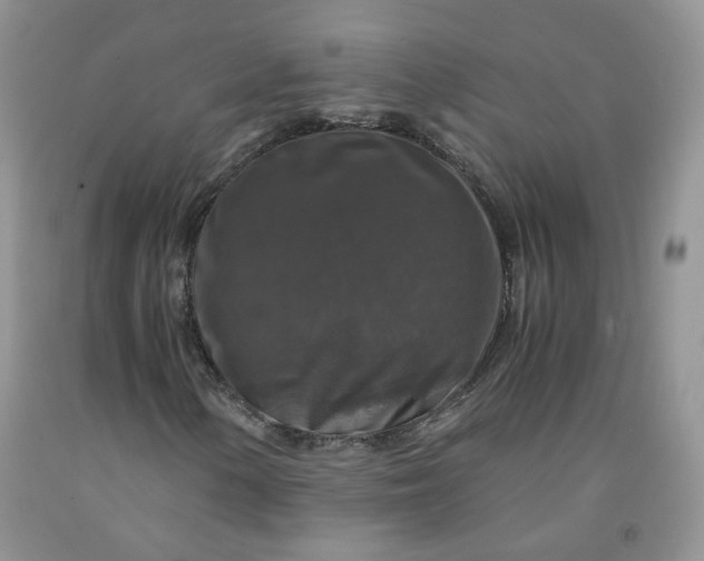 X0000091961154200709201337