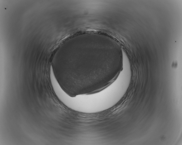 X0000091961156200709201337