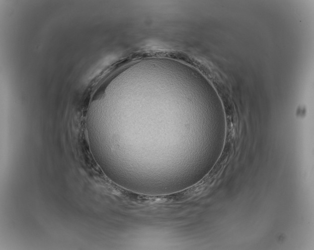 X0000091961157200709201337