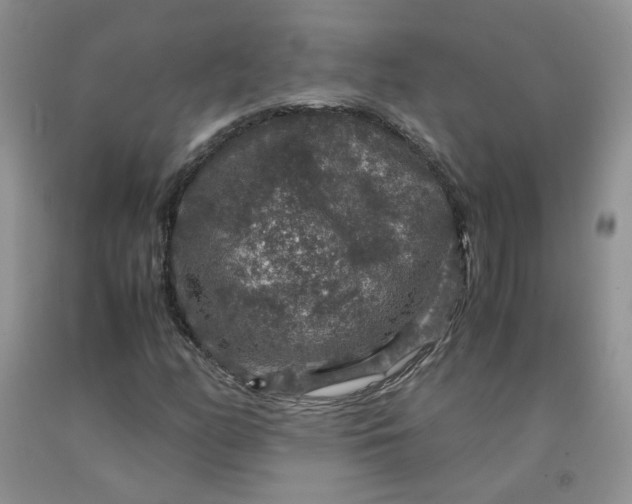 X0000091961158200709201337