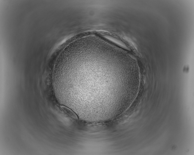 X0000091961159200709201337