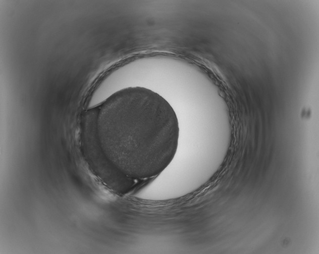 X0000091961160200709201337