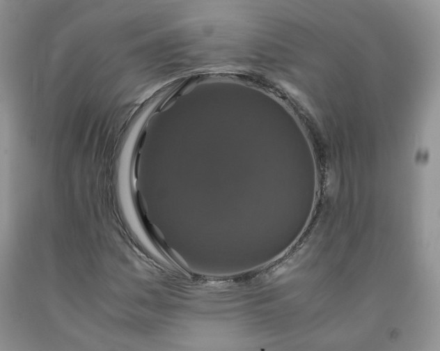 X0000091961161200709201337