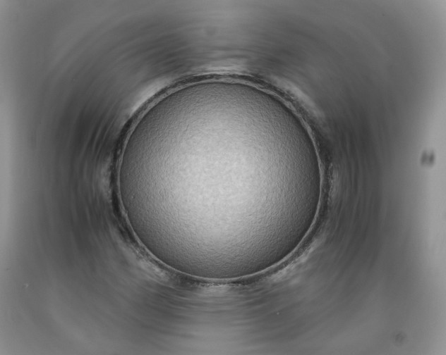 X0000091961162200709201337