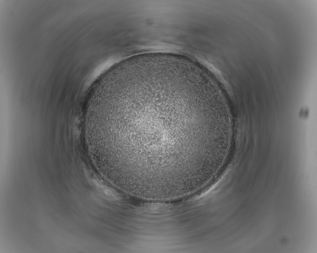 X0000091961163200709201337