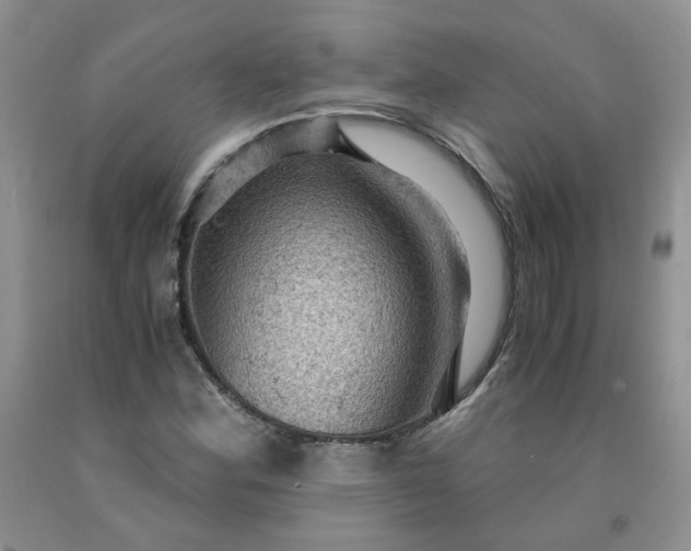 X0000091961164200709201337