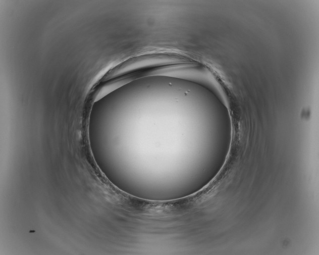 X0000091961165200709201337