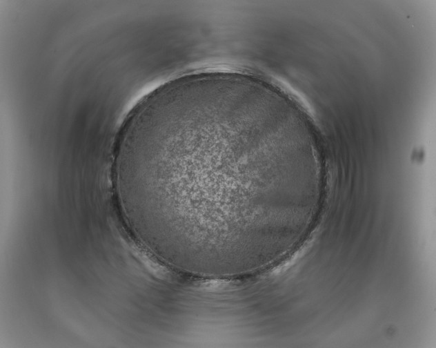 X0000091961166200709201337