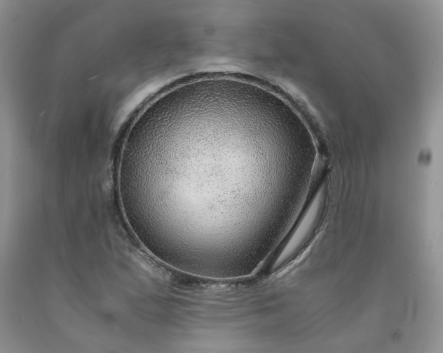 X0000091961167200709201337