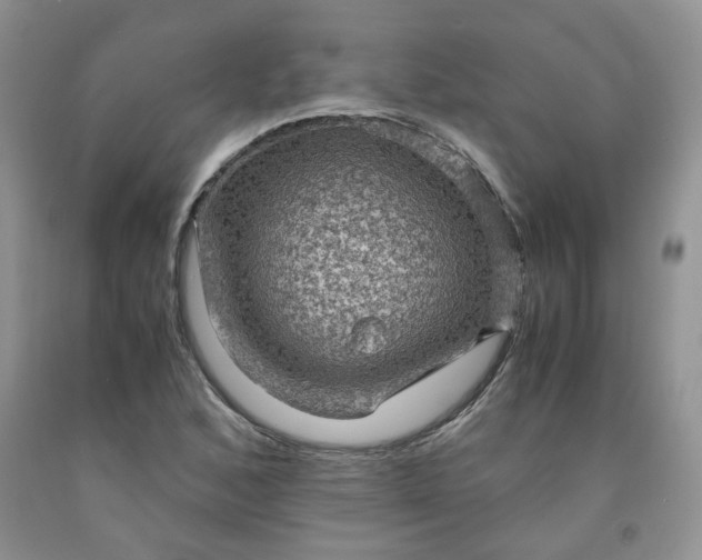 X0000091961168200709201337