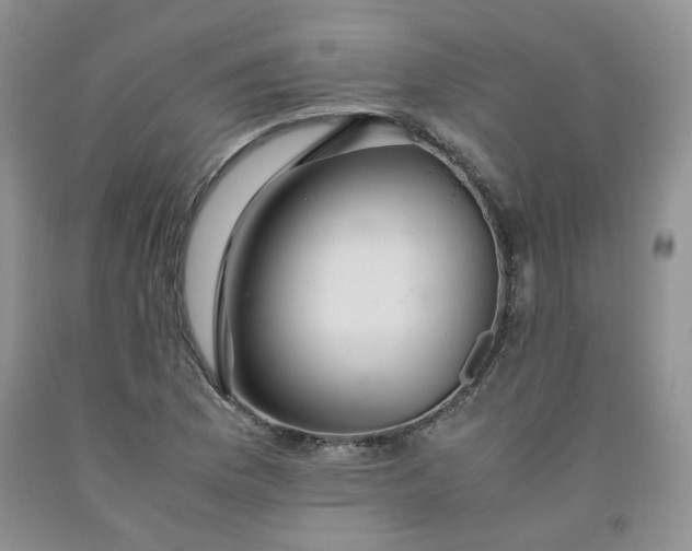 X0000091961169200709201337