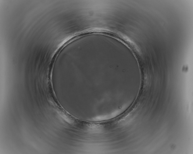 X0000091961170200709201337