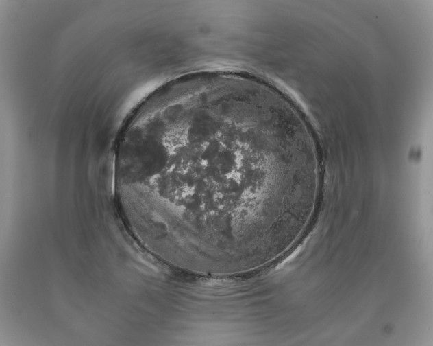 X0000091961171200709201337