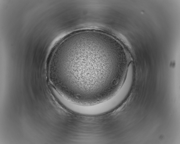 X0000091961172200709201337