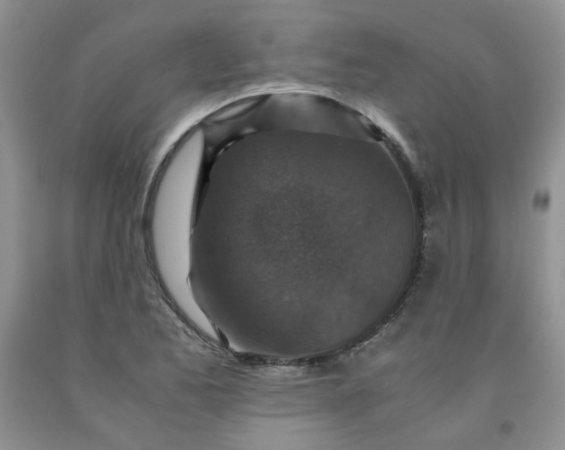 X0000091961173200709201337