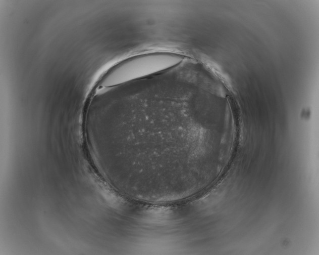 X0000091961174200709201337