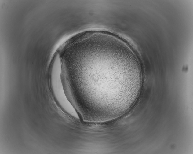 X0000091961175200709201337