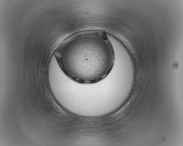 X0000091961177200709201337