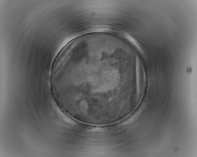 X0000091961178200709201337