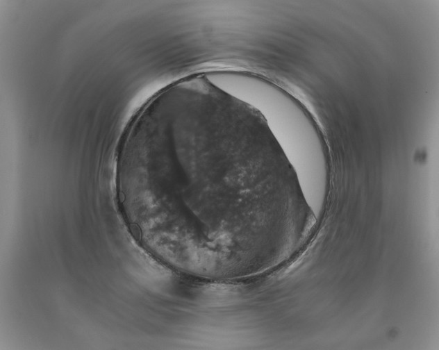 X0000091961179200709201337