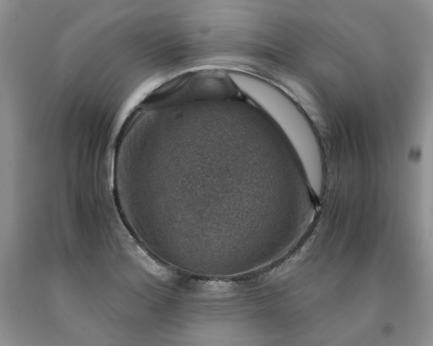 X0000091961180200709201337