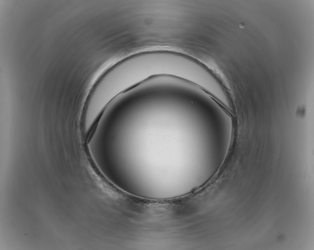 X0000091961181200709201337