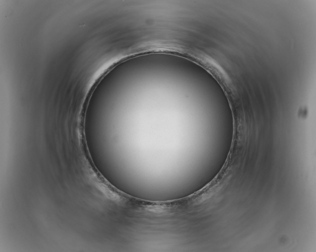 X0000091961182200709201337