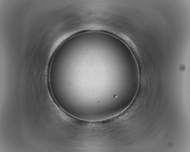 X0000091961183200709201337