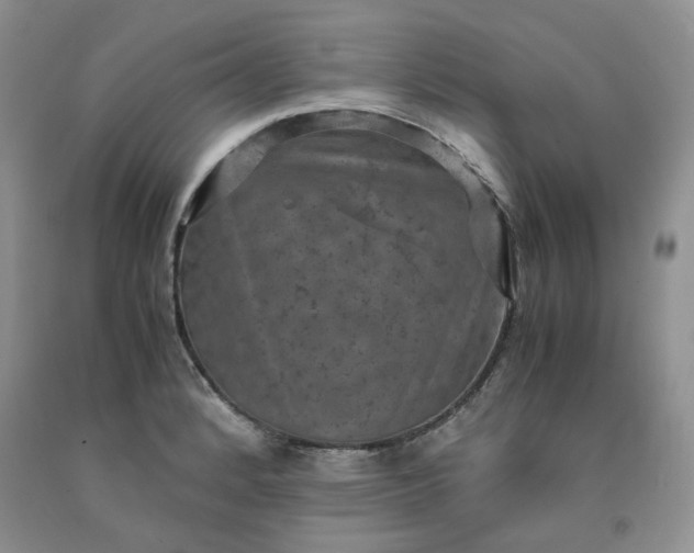 X0000091961184200709201337