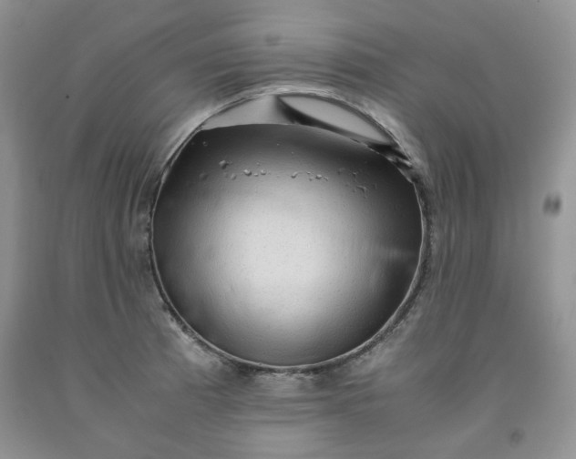 X0000091961185200709201337