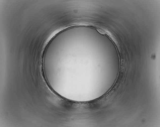 X0000091961187200709201337