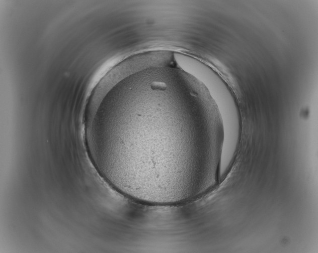 X0000091961188200709201337